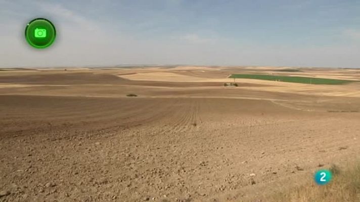 Agrosfera - Agrosfera En Clave Rural - Nava del Rey y Alaejos