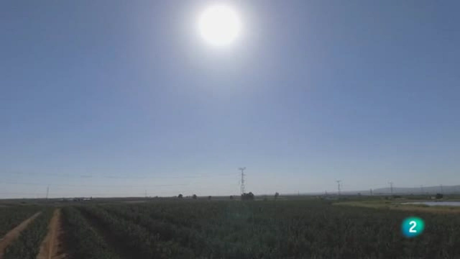 Agrosfera - Laboratorio de ideas - Drones en Andalucía