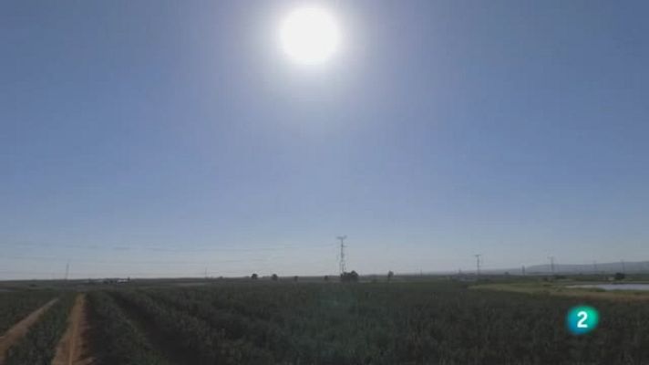 Agrosfera - Agrosfera - Laboratorio de ideas - Drones en Andalucía