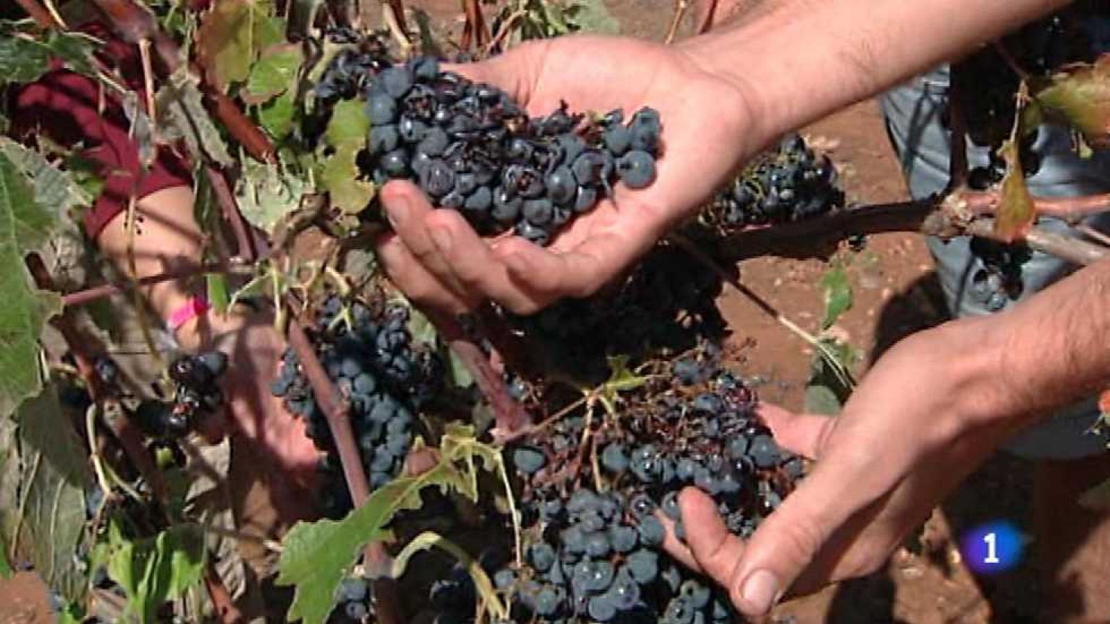 L'Informatiu - Comunitat Valenciana - 26/09/16 - ver ahora