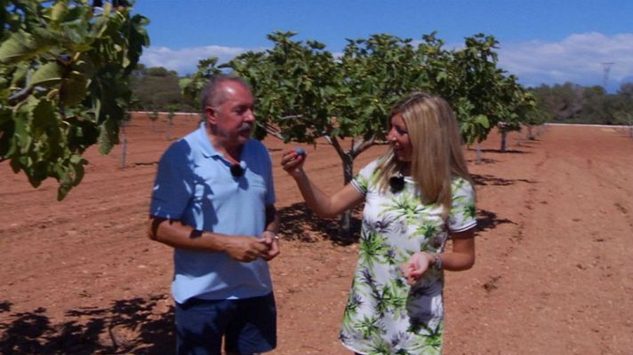 Aquí la Tierra - Higos del mundo