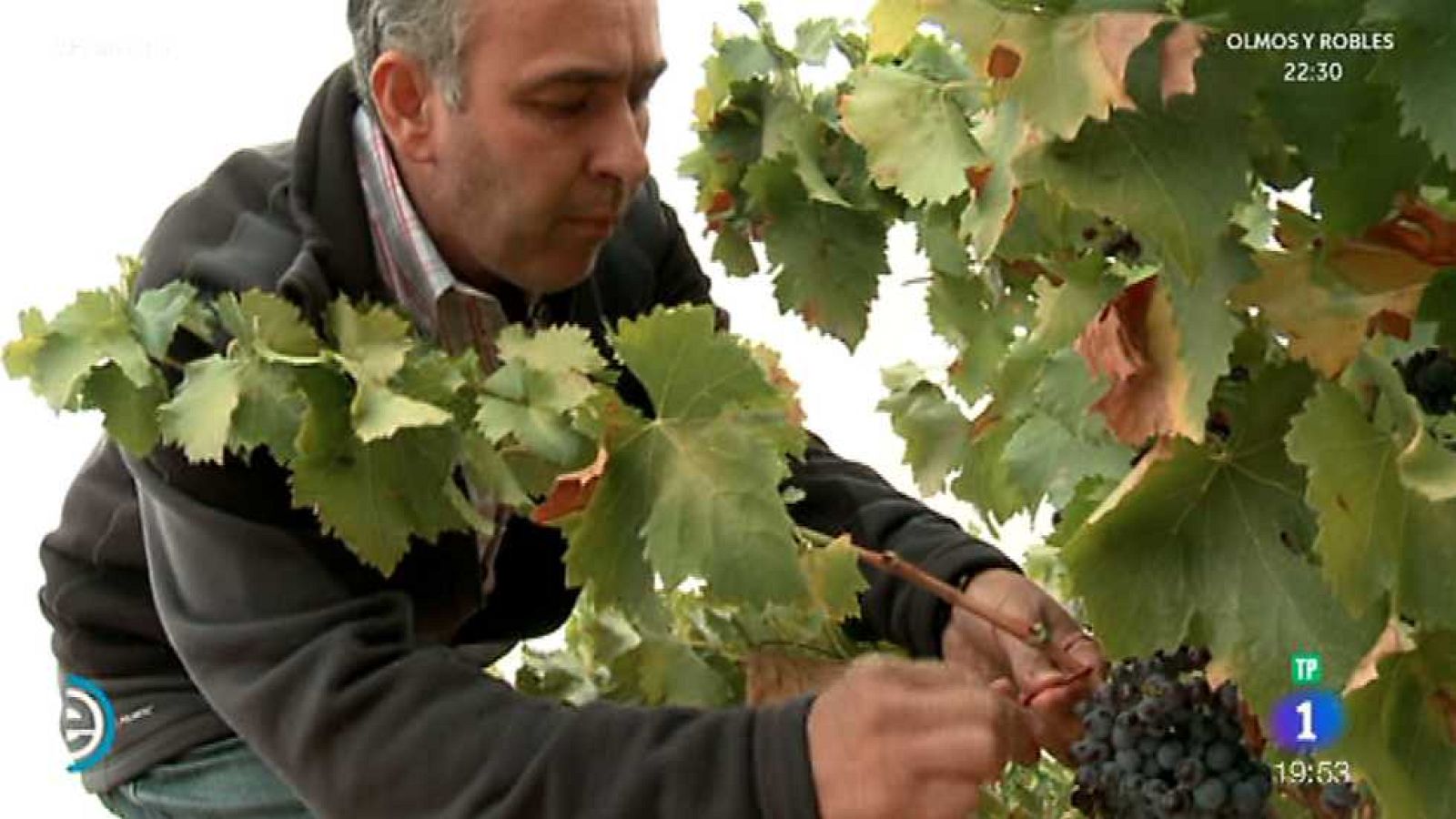 España Directo - 26/09/16 - ver ahora