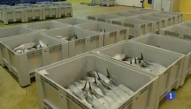 Panorama Regional 2 - 27/09/16 | Ver