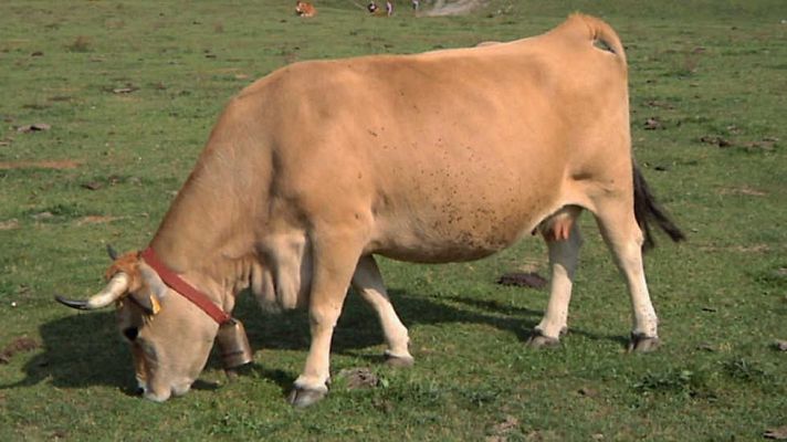 Aquí la Tierra - Aquí la Tierra - 27/09/16