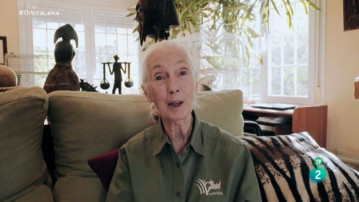 Órbita Laika - Jane Goodall