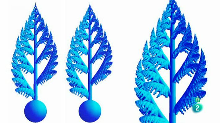 Órbita Laika - La teoría de la evolución