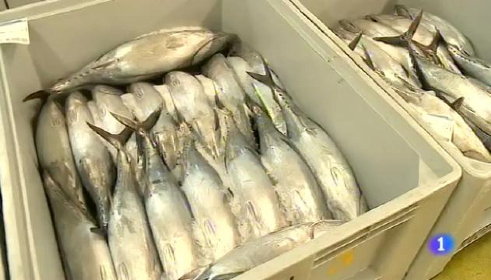 Panorama Regional - 28/09/16 | Ver