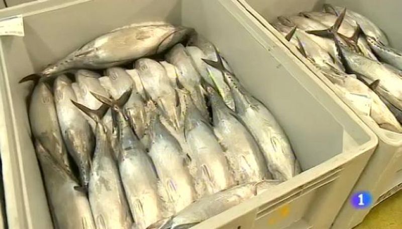 Panorama Regional - 28/09/16 | Ver