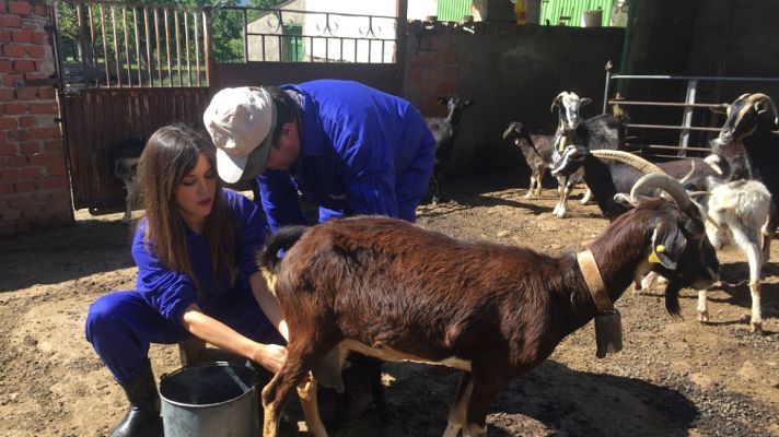 Aquí la Tierra - Adopta a Marta: de queso en queso