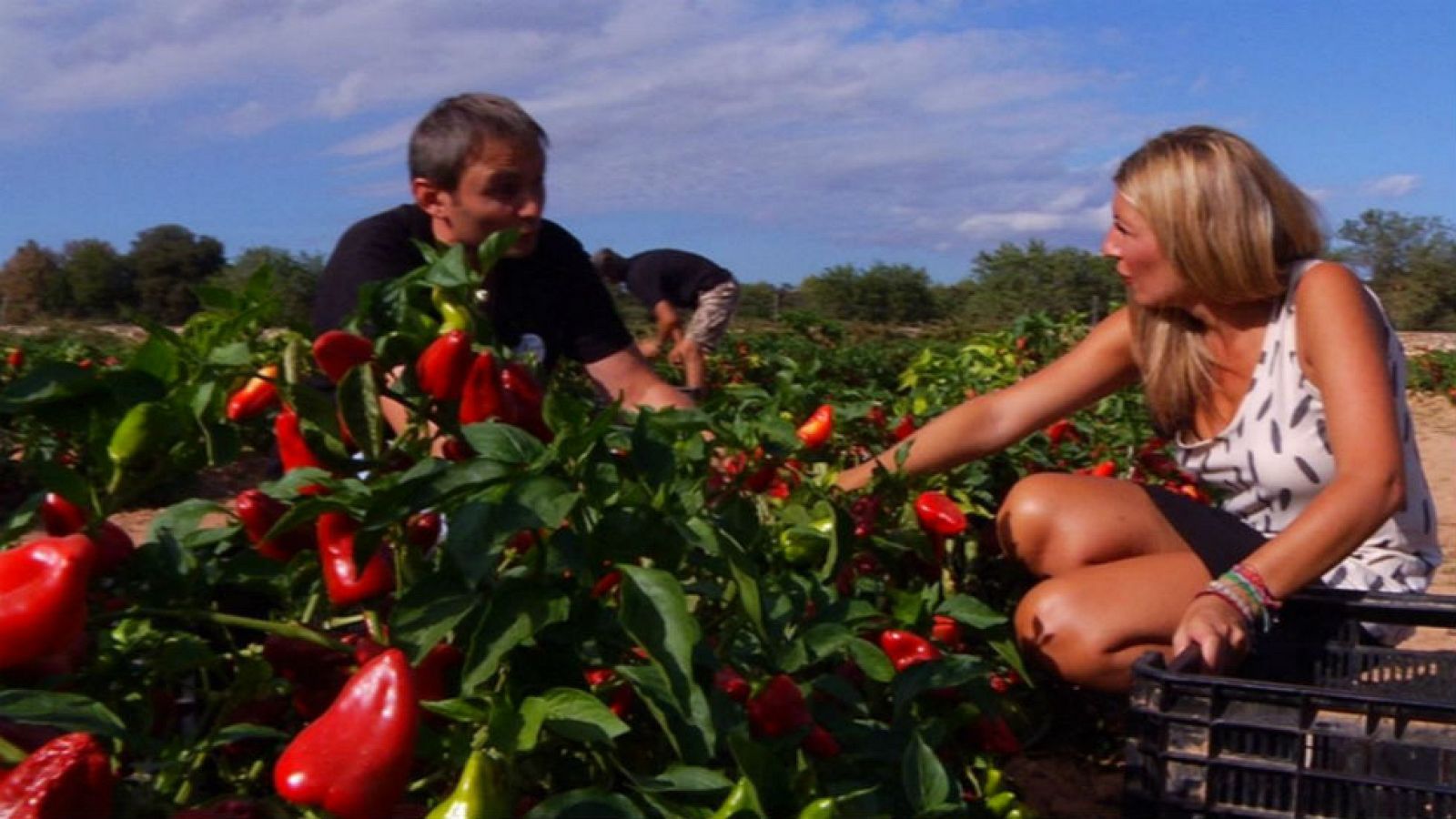 Un pimiento con corazón mallorquín