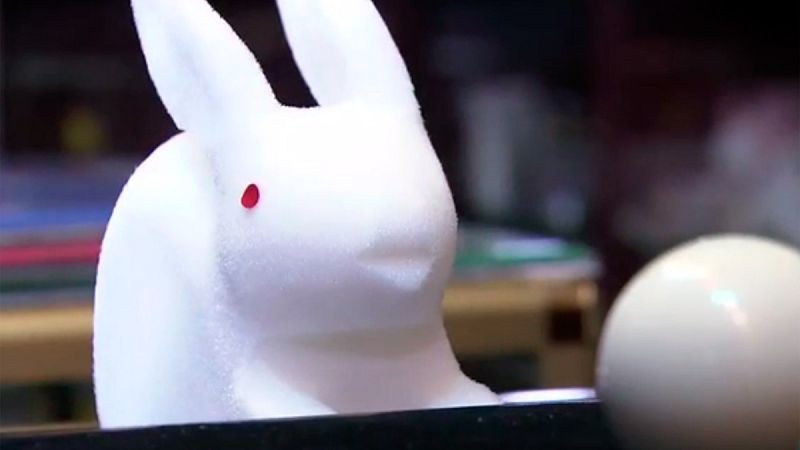 Punts de vista - 29/09/2016