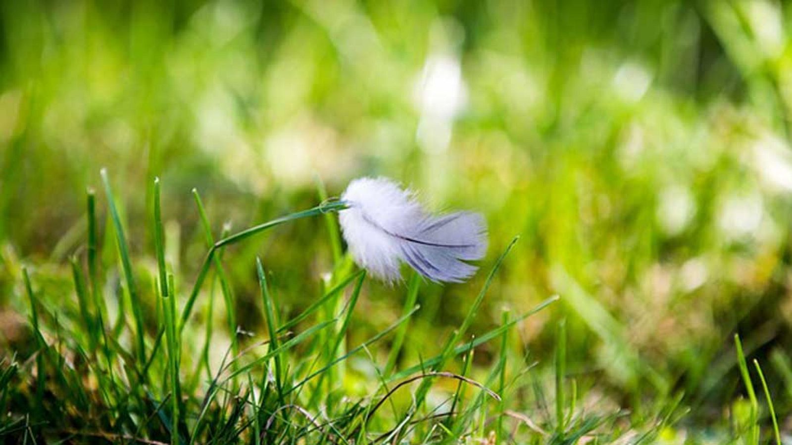 El Tiempo en la Comunidad de Madrid - 30/09/16
