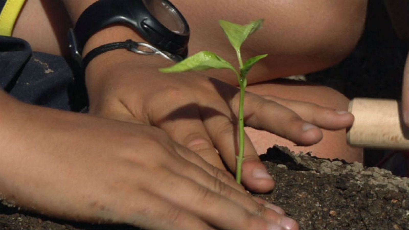 Un huerto en el corazón de Madrid