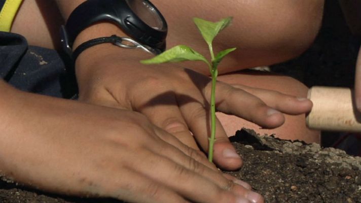 Aquí la Tierra - Un huerto en el corazón de Madrid