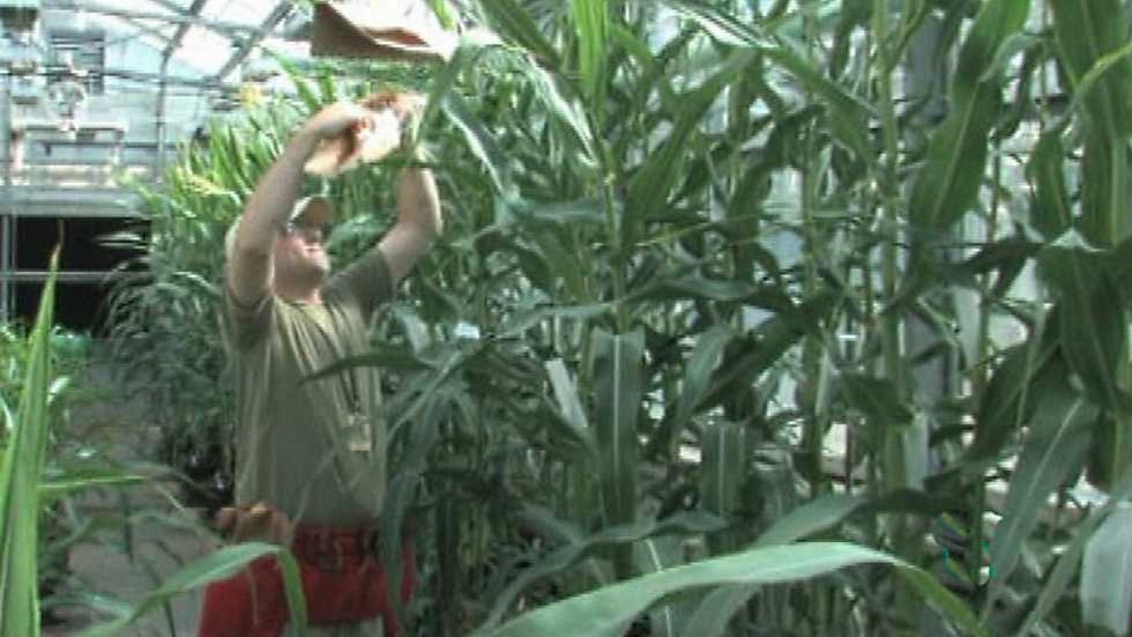 Agrosfera - 01/10/16 - ver ahora