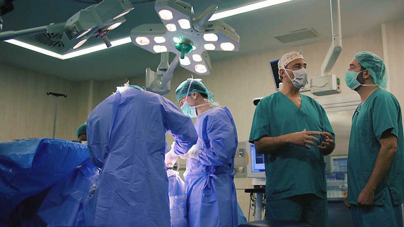 El cazador de cerebros - Hacia lo más profundo del cerebro