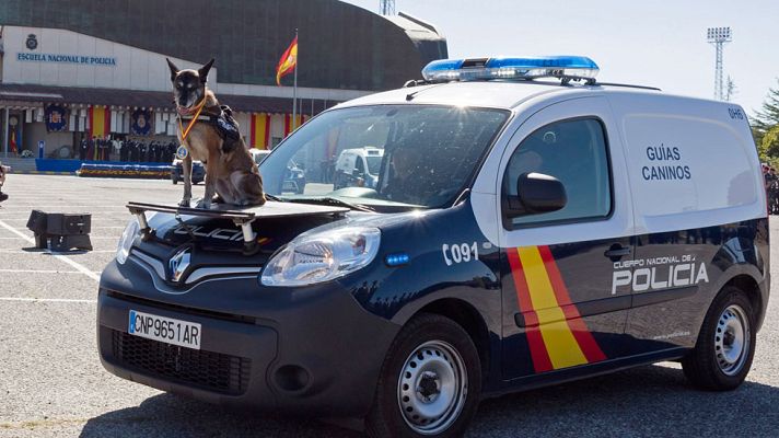 Telediario 1 - Héroes de cuatro patas