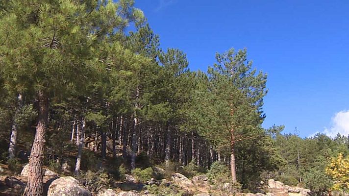 Informativo de Madrid - El Tiempo en la Comunidad de Madrid - 03/10/16