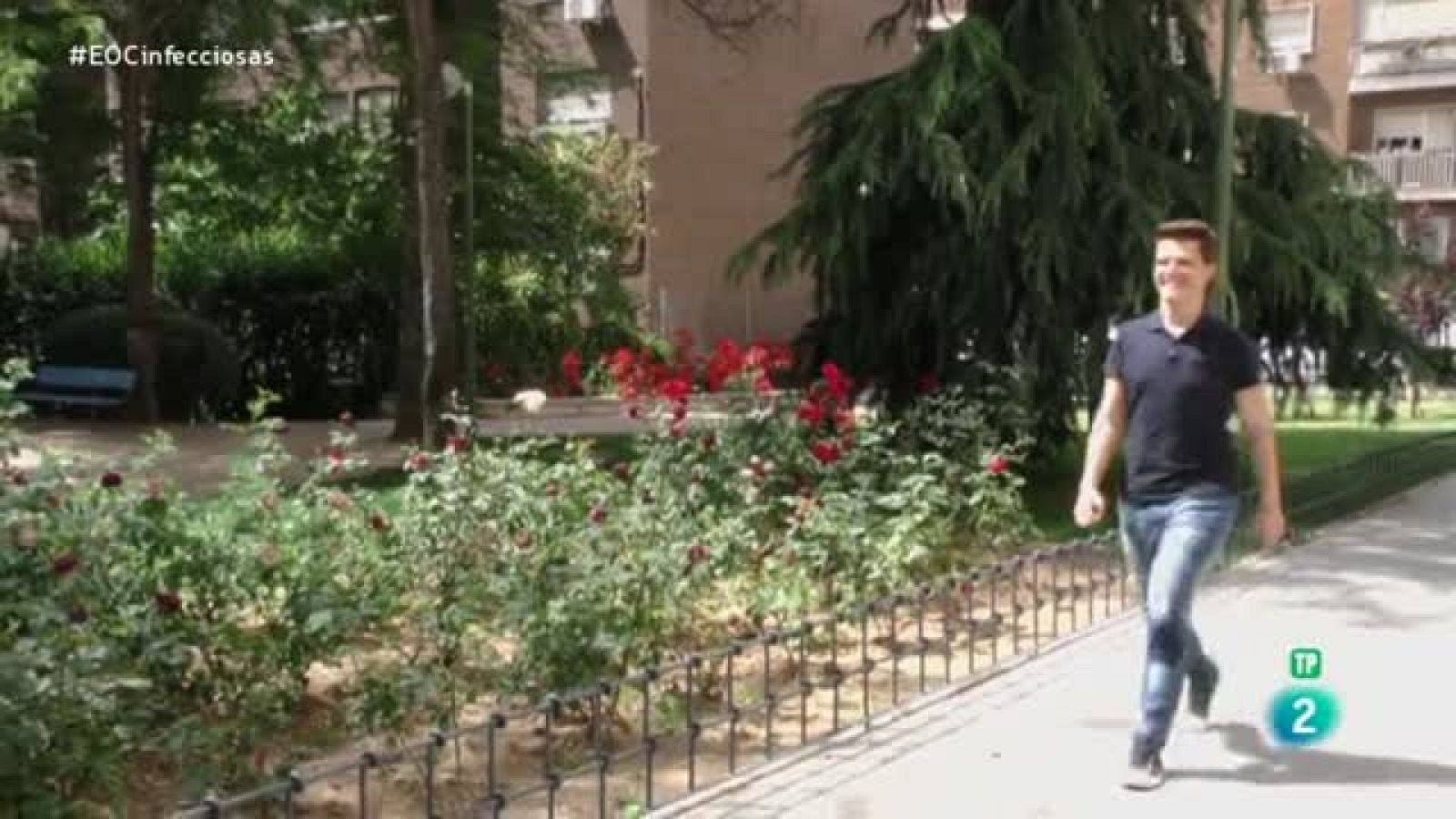 El ojo clínico - pregunta