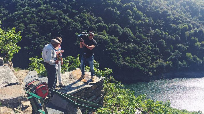 España Directo - La vendimia heroica en la Ribeira Sacra
