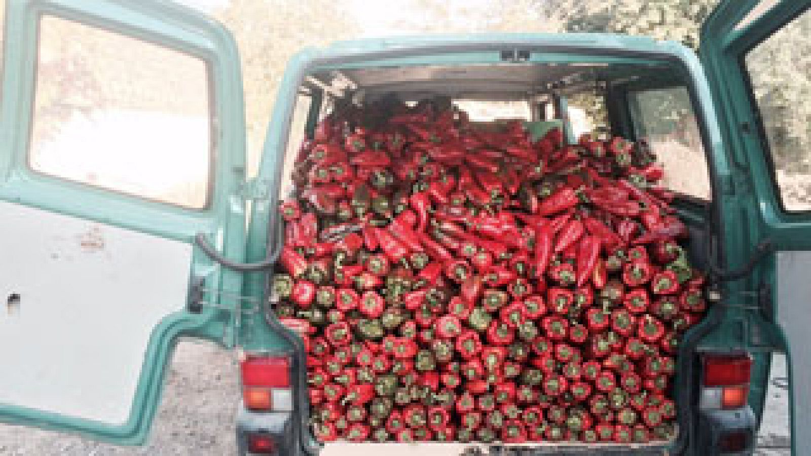 Temporada de pimientos najeranos