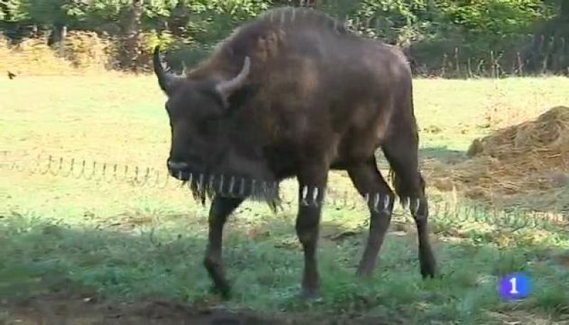 Panorama Regional 2 - 04/10/16 | Ver