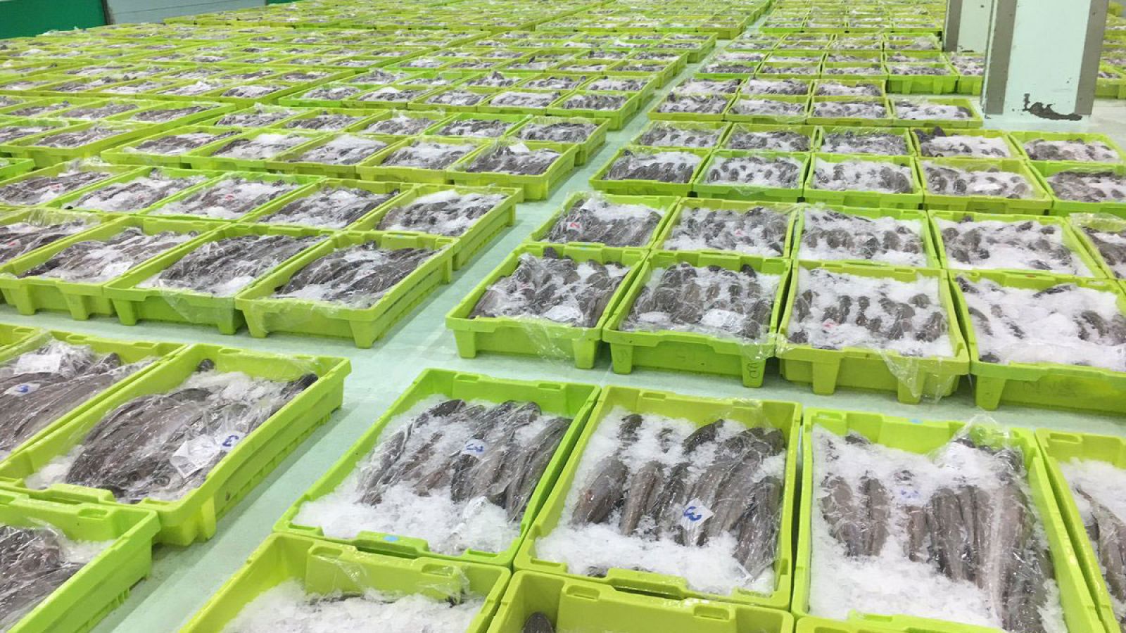 Un día en la lonja de A Coruña