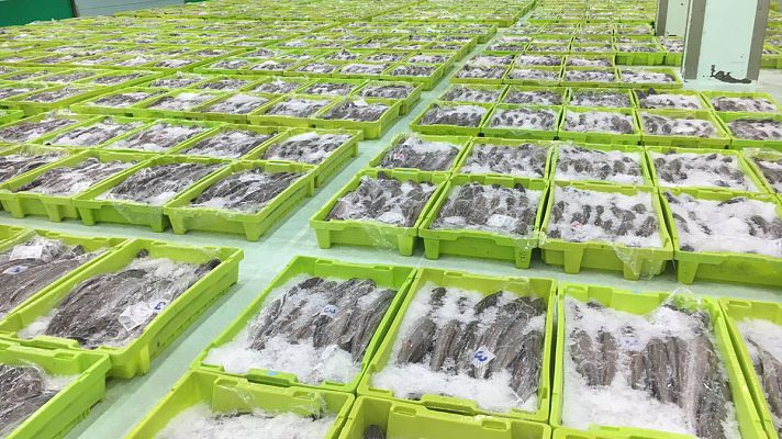 España Directo - Un día en la lonja de A Coruña