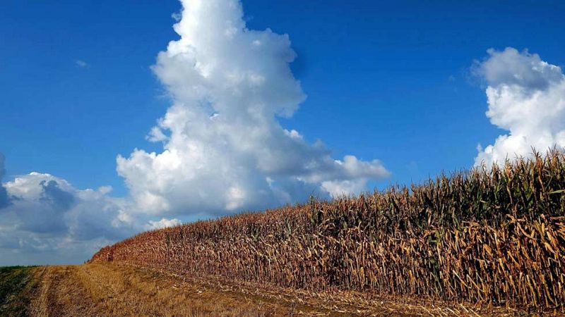 Temperaturas máximas en ascenso