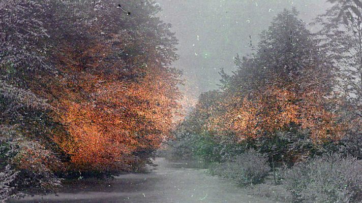 Metrópolis - Paisajes Made in Austria