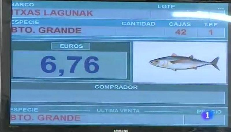 Panorama Regional - 06/10/16 | Ver