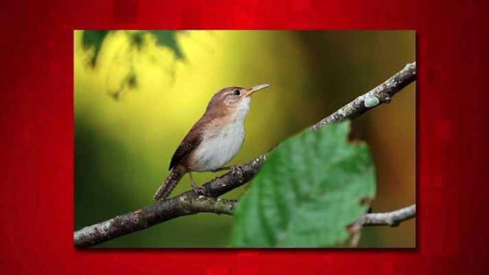 Saber y ganar - Saber y ganar - 06/10/16