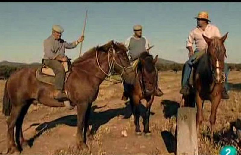 El escarabajo verde - Los últimos vaqueros - El escarabajo verde | Ver
