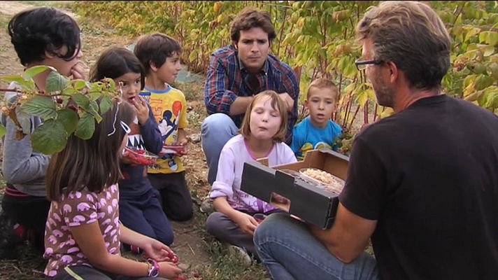 España Directo - Aprendemos a recoger frutos del bosque