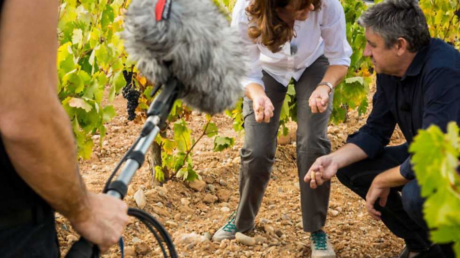 Aquí la tierra - 07/10/16 - escuchar ahora