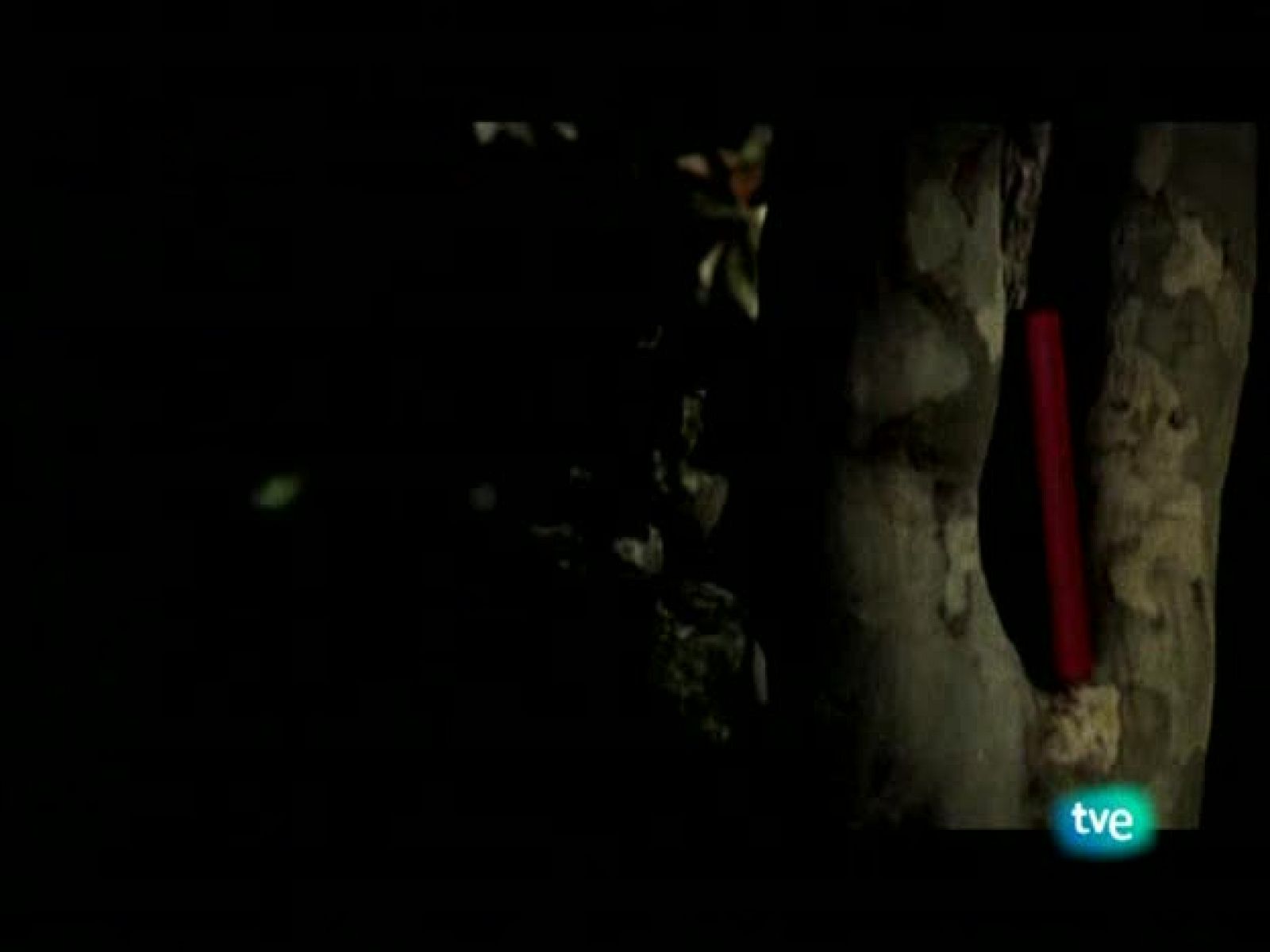 Página 2 - 04/01/09 - Página Dos | Ver