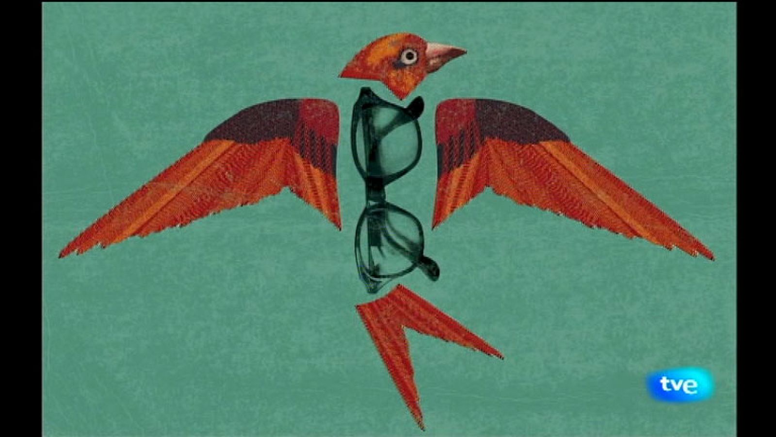 La Aventura del Saber. TVE. Serie 'Boek Visual'. Ana Yael