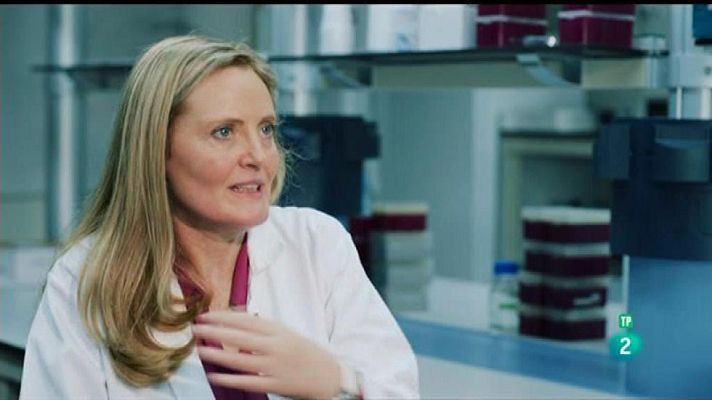 El cazador de cerebros - La genética en la nutrición