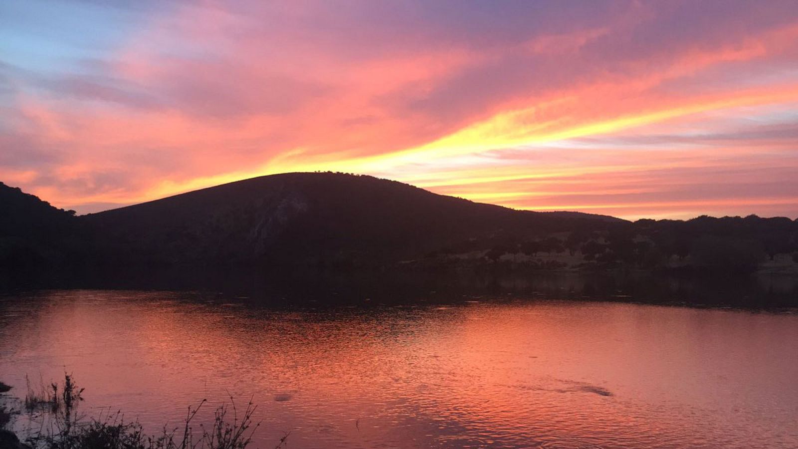 La berrea de Monfragüe