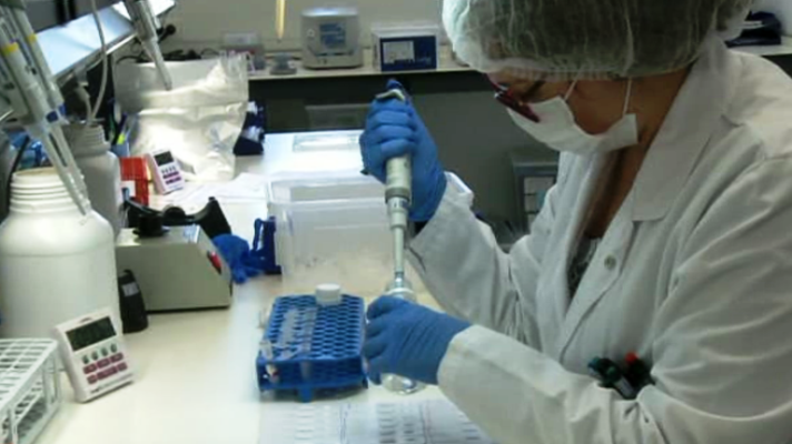 Fábrica de ideas - Imita. Certest Biotec