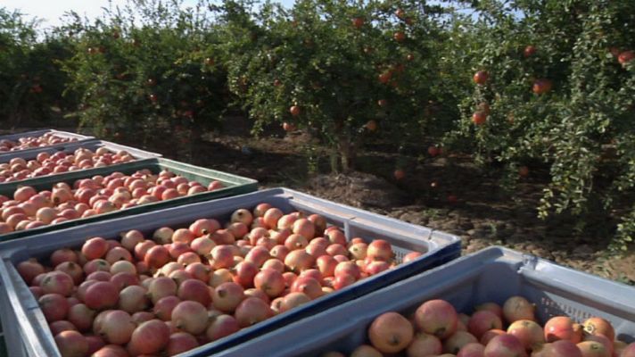Aquí la Tierra - El truco infalible para abrir una granada