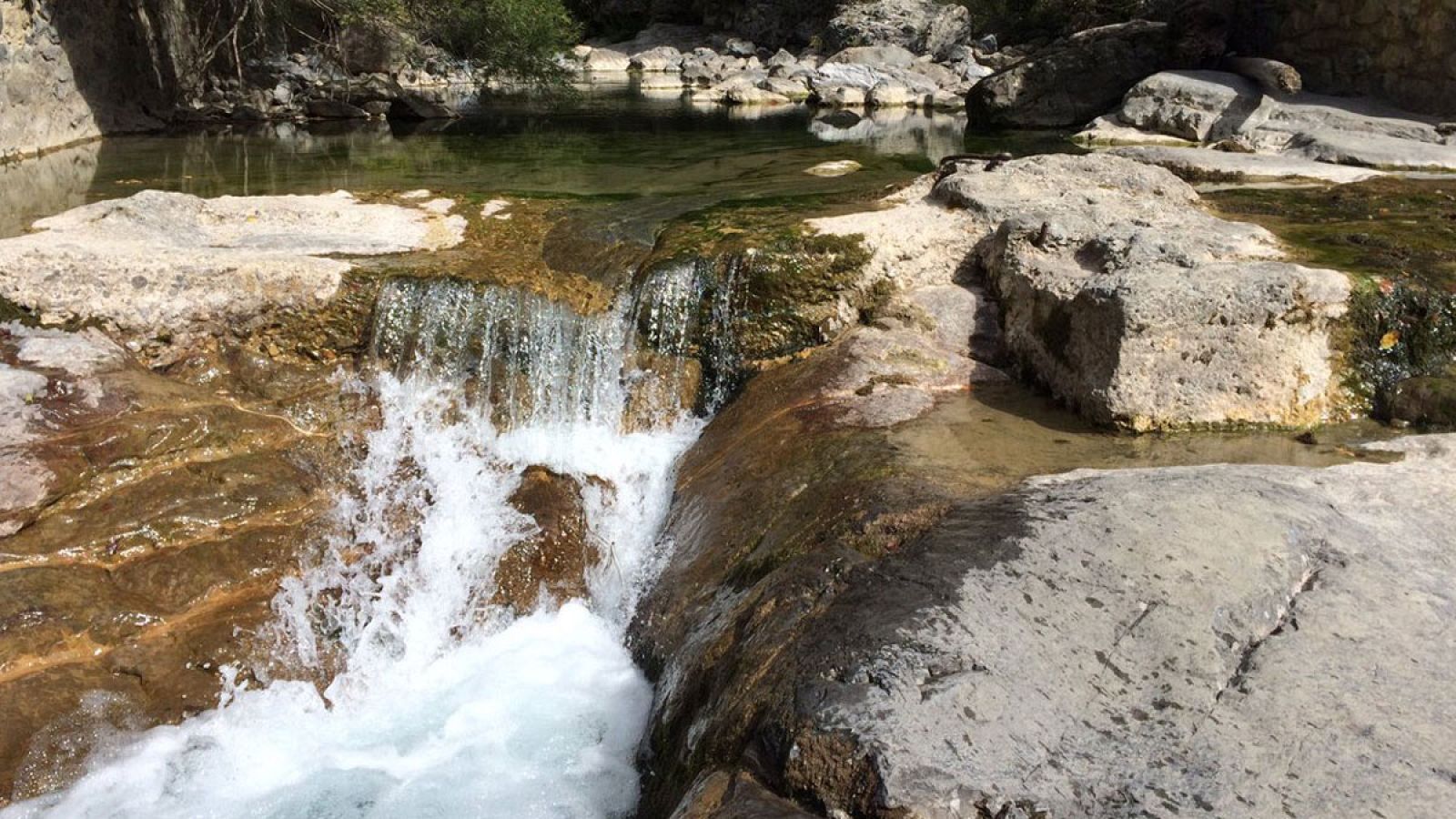 Descubriendo la Selva de Irati