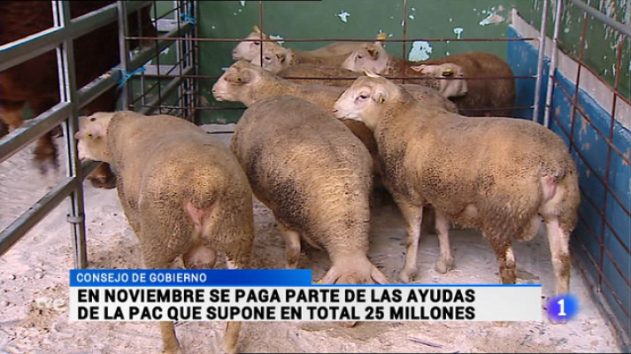 Informativo Telerioja - Informativo Telerioja - 14/10/16