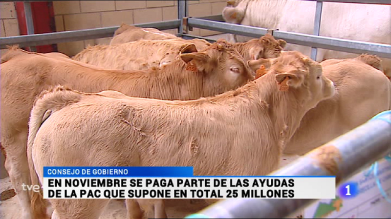 Informativo Telerioja 2 - 14/10/16