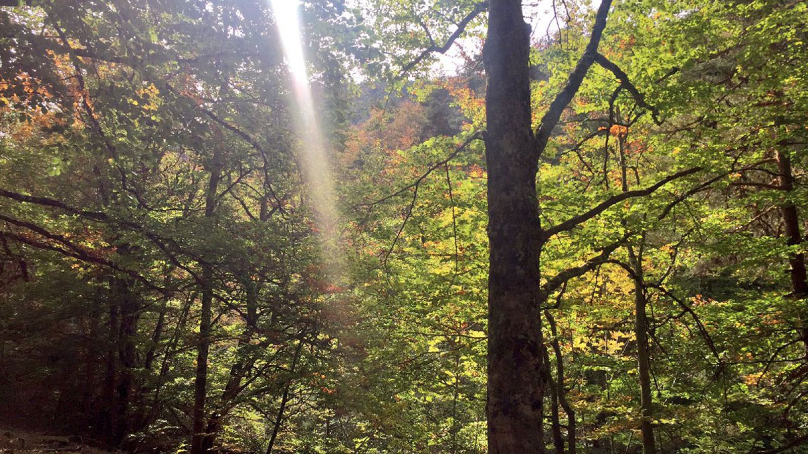 Un día en el Parque Natural de La Rioja