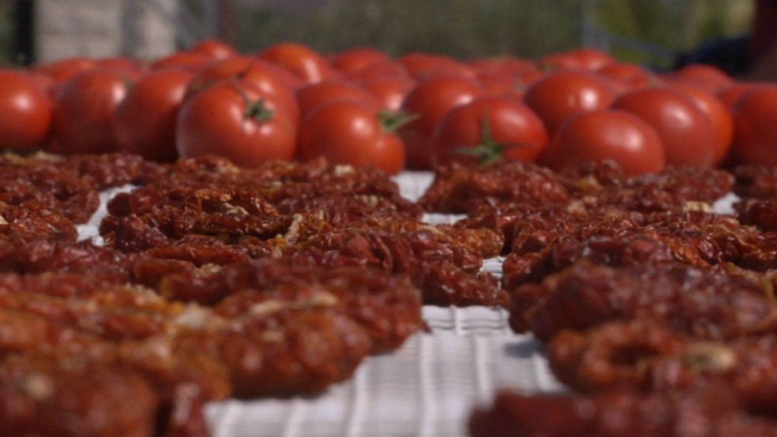 ¿Cómo se originó el tomate seco?