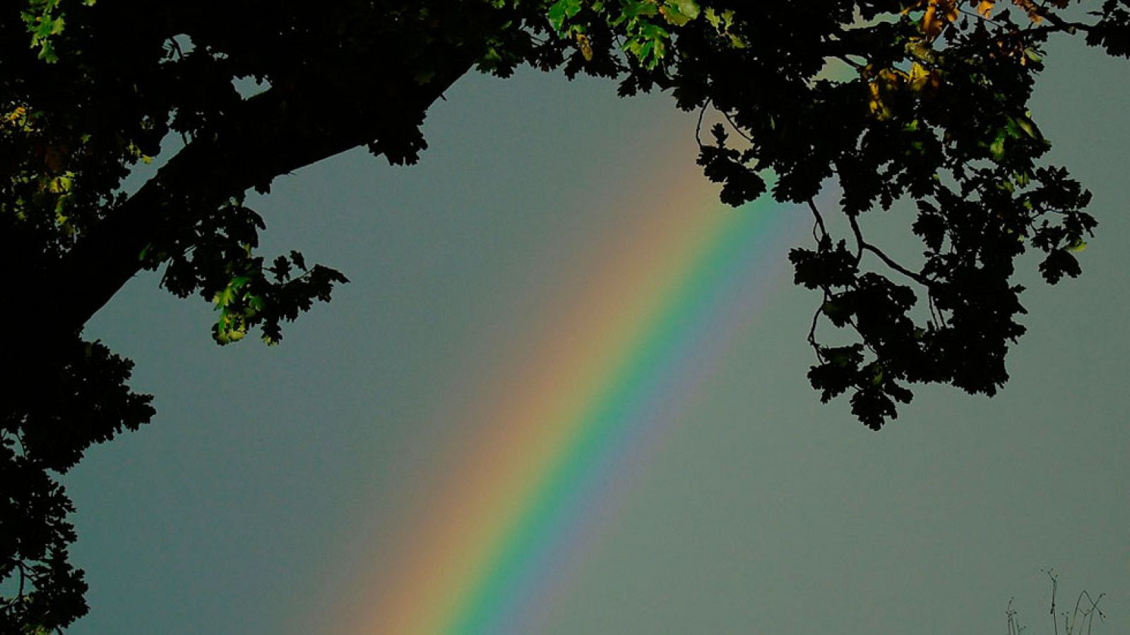 Cielos nubosos en la mitad norte peninsular
