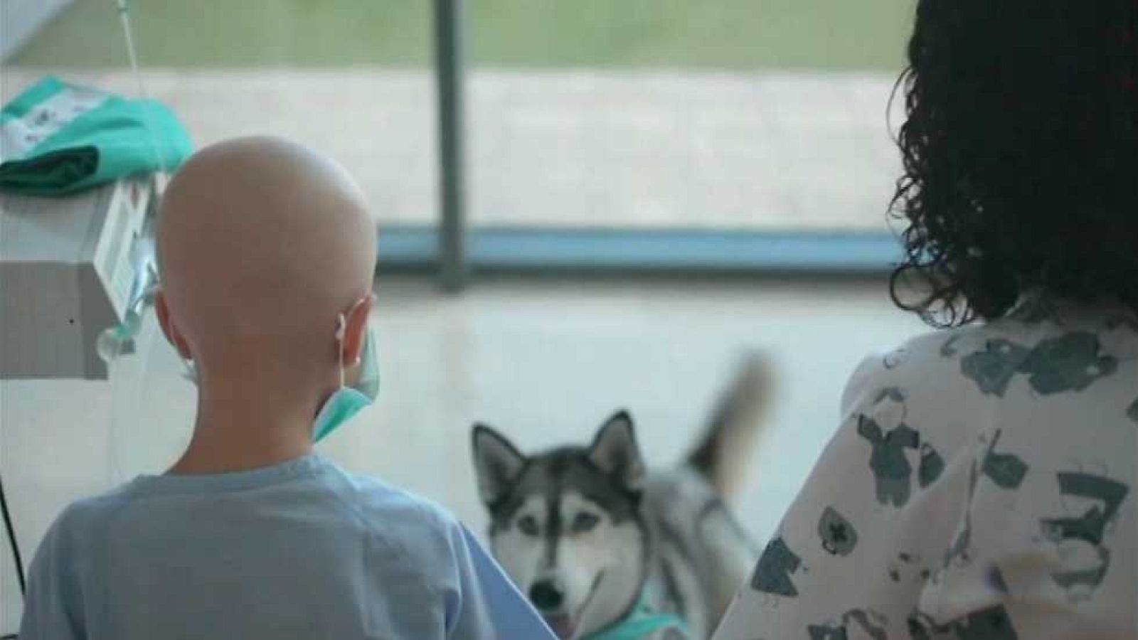 La Comunidad Valenciana en 2' - 17/10/16 - ver ahora