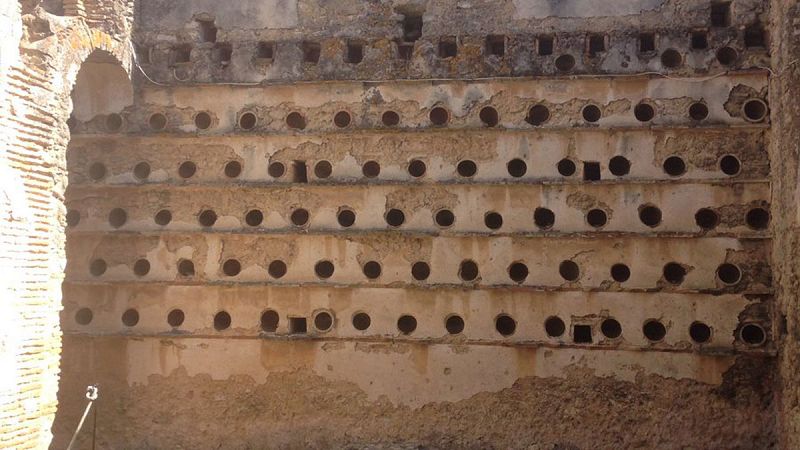 España Directo- El palomar más grande del mundo