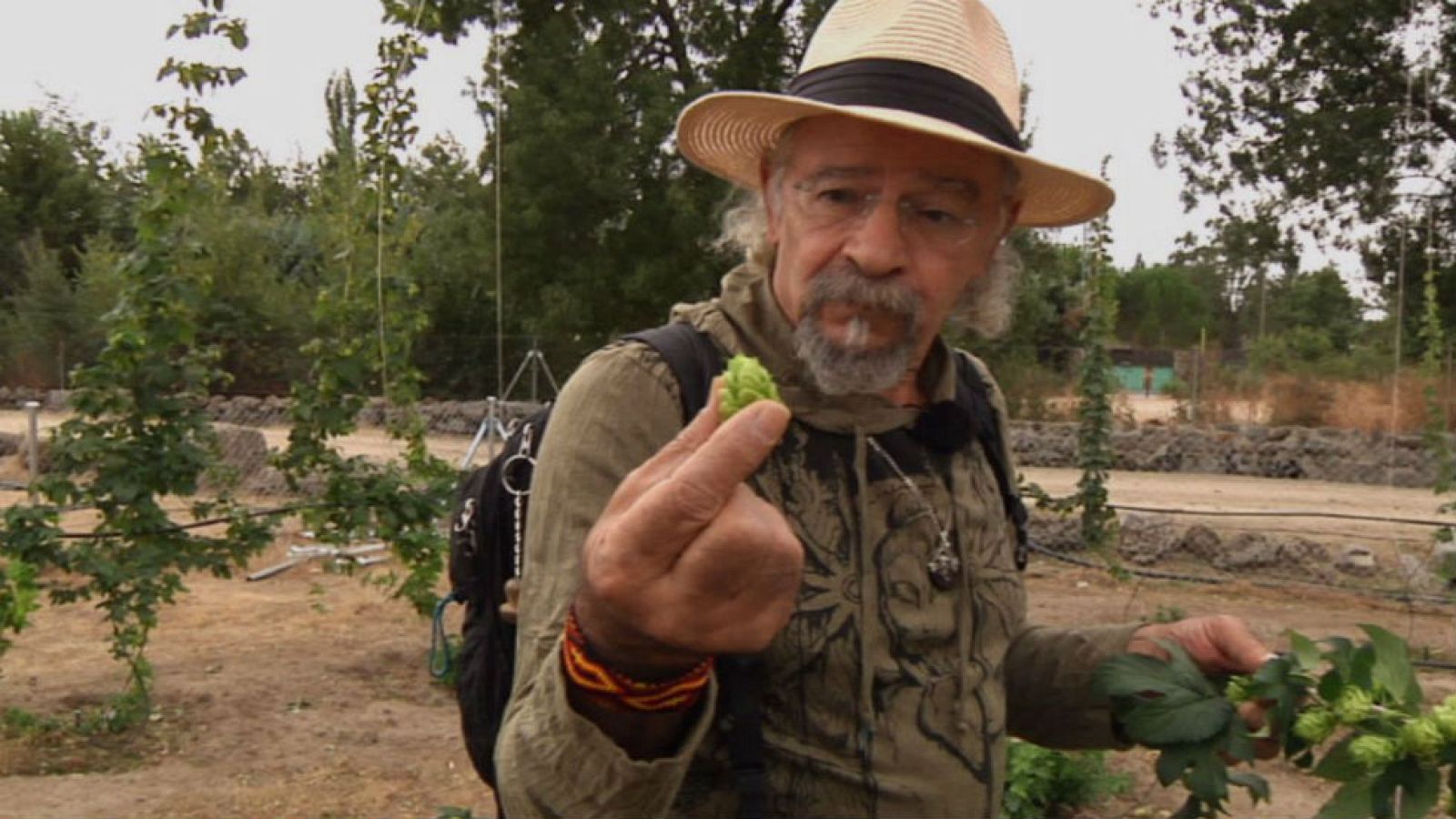 Juan Plantas y el lúpulo